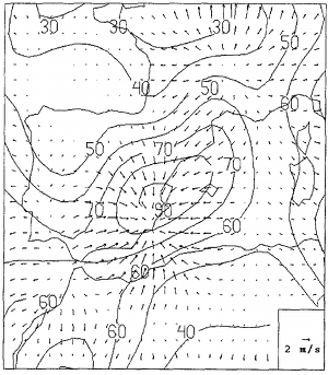 Diagnosis and Numerical Simulation of a torrential precipitation event in the western Mediterranean